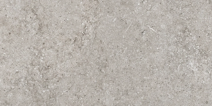 Florim Sensi Grey Fossil naturalna 20x40x6 cm 771007
