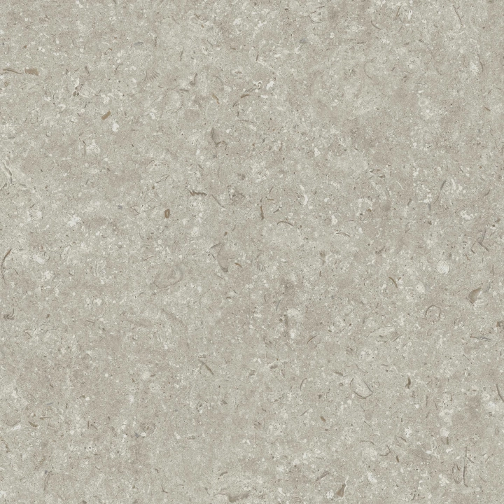 Grespania Fosil Gris matowa 60x60 cm gr. 10 mm