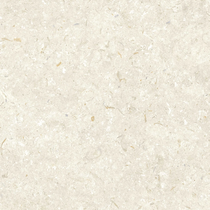 Grespania Fosil Bone matowa 60x60 cm gr. 10 mm