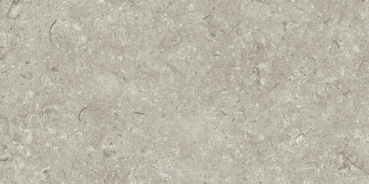 Grespania Fosil Gris matowa 30x60 cm gr. 10 mm