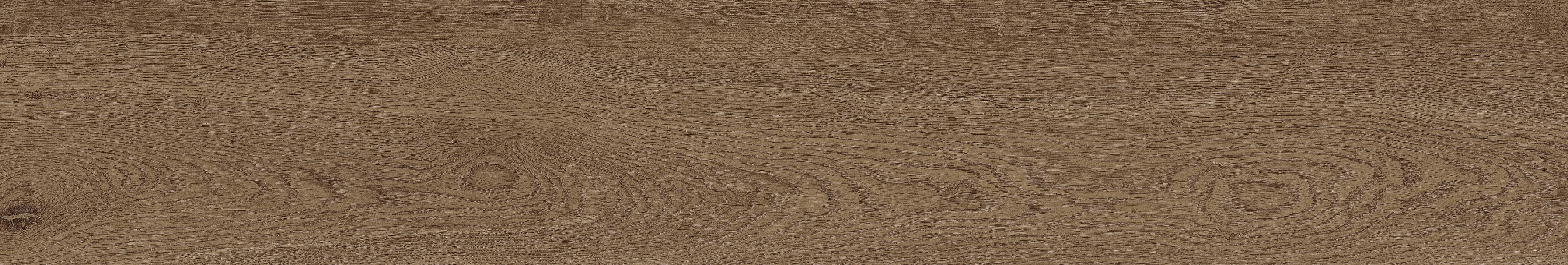 Imola Crew Honey No matowa 20x120 cm gr. 10 mm
