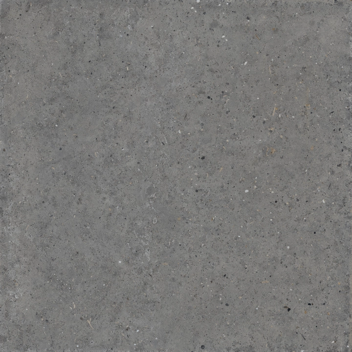 Iris Whole Stone Grey naturalna R10 60x60 cm gr. 9 mm