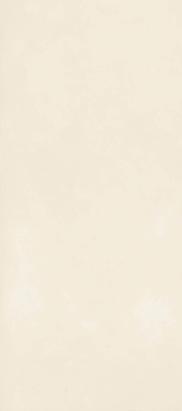 Marazzi Grande Resin Look Avana mat c2 120x278 cm gr. 6 mm