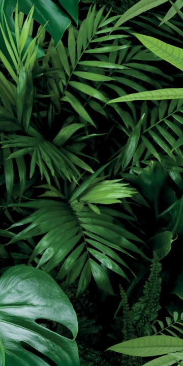 Panaria Glam Jungle B matowa 50x100 cm gr. 4 mm