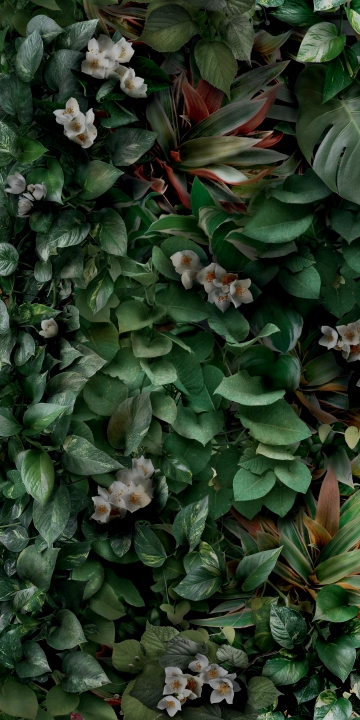 Panaria Glam Greenwall B matowa 50x100 cm gr. 4 mm