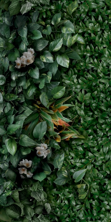 Panaria Glam Greenwall D matowa 50x100 cm gr. 4 mm