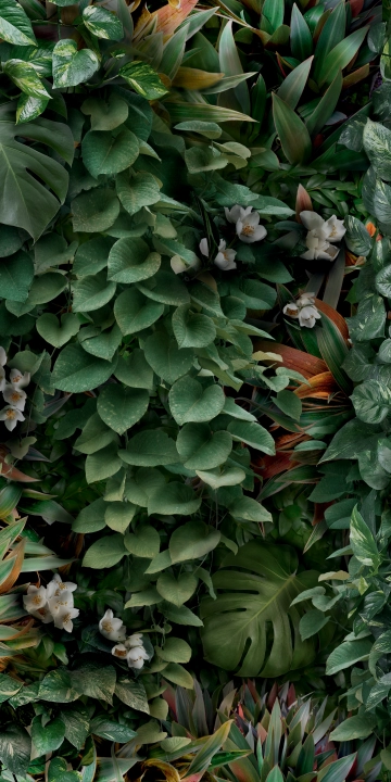 Panaria Glam Greenwall C matowa 50x100 cm gr. 4 mm