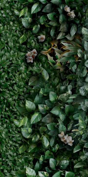 Panaria Glam Greenwall A matowa 50x100 cm gr. 4 mm