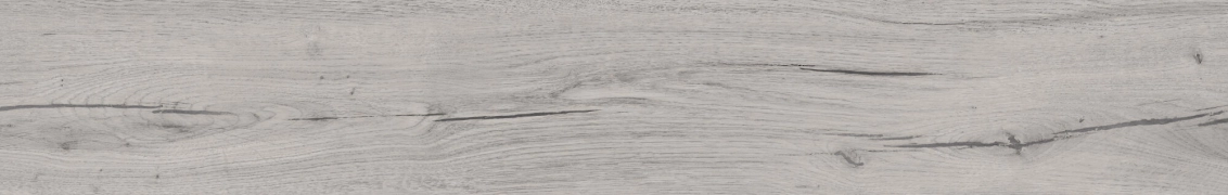 Peronda Jackson Floor Ash matowa 24x151 cm gr. 9 mm
