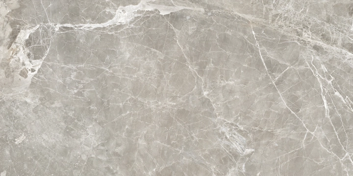 Provenza Unique Marble Moon Grey jedwabista R10 30x60 cm gr. 10 mm