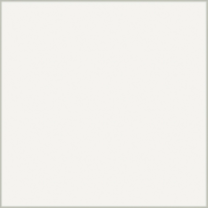 Refin Vetri Bianco poler 60x60 cm gr. 9 mm