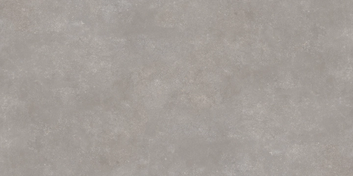 Saime Icon Ash naturalna 30x60 cm gr. 9 mm