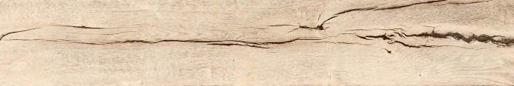 Santagostino Timewood Honey matowa 20x120 cm gr. 9 mm