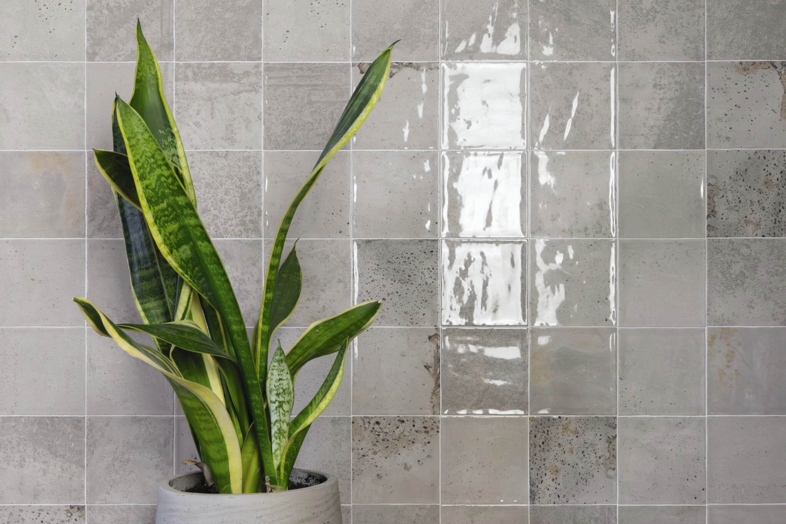 Gres Cifre BLAZE efekt kamień - aranzacja w eleganckiej lazience