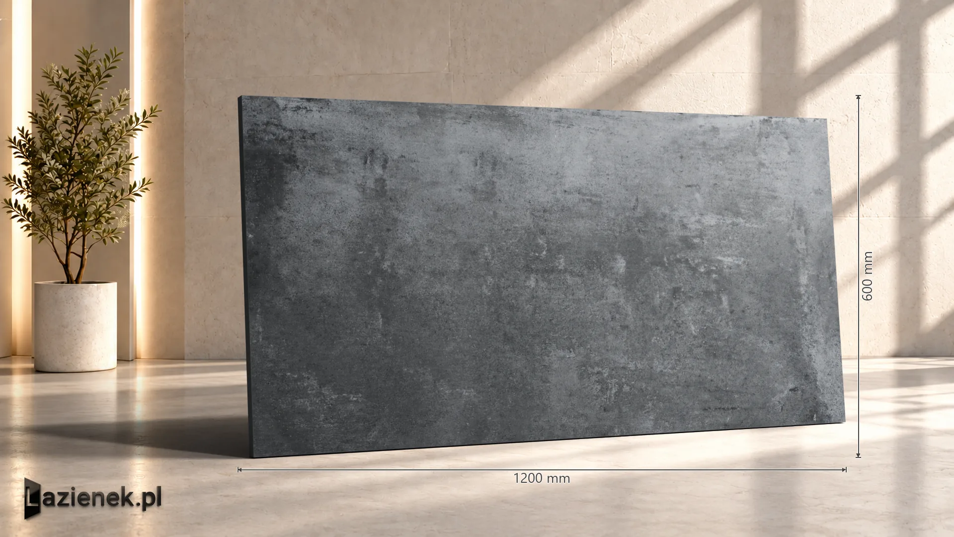 Ragno Clayton Dark Grey C2 matowa r10 60x120 cm gr. 9 mm - płytka rektyfikowana / RAQE