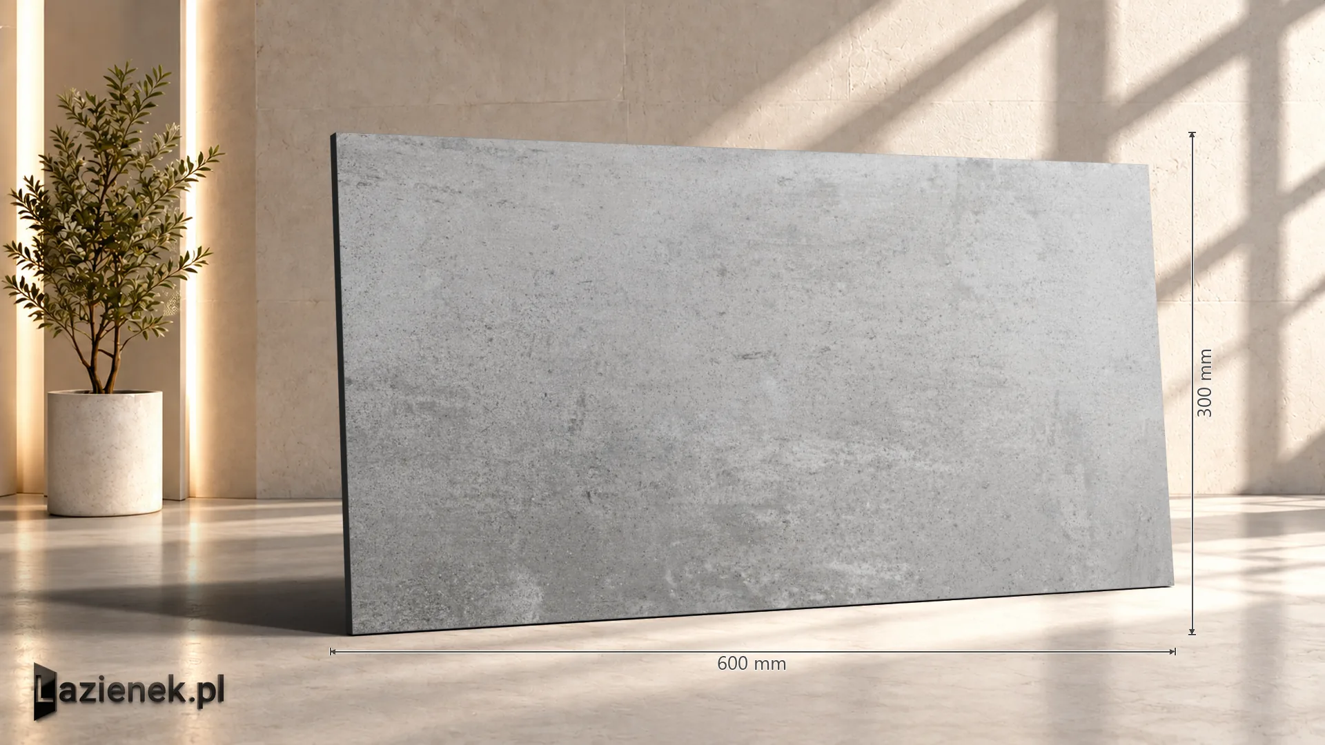 Ragno Clayton Iron matowa 30x60 cm gr. 9 mm - płytka rektyfikowana / RAP4