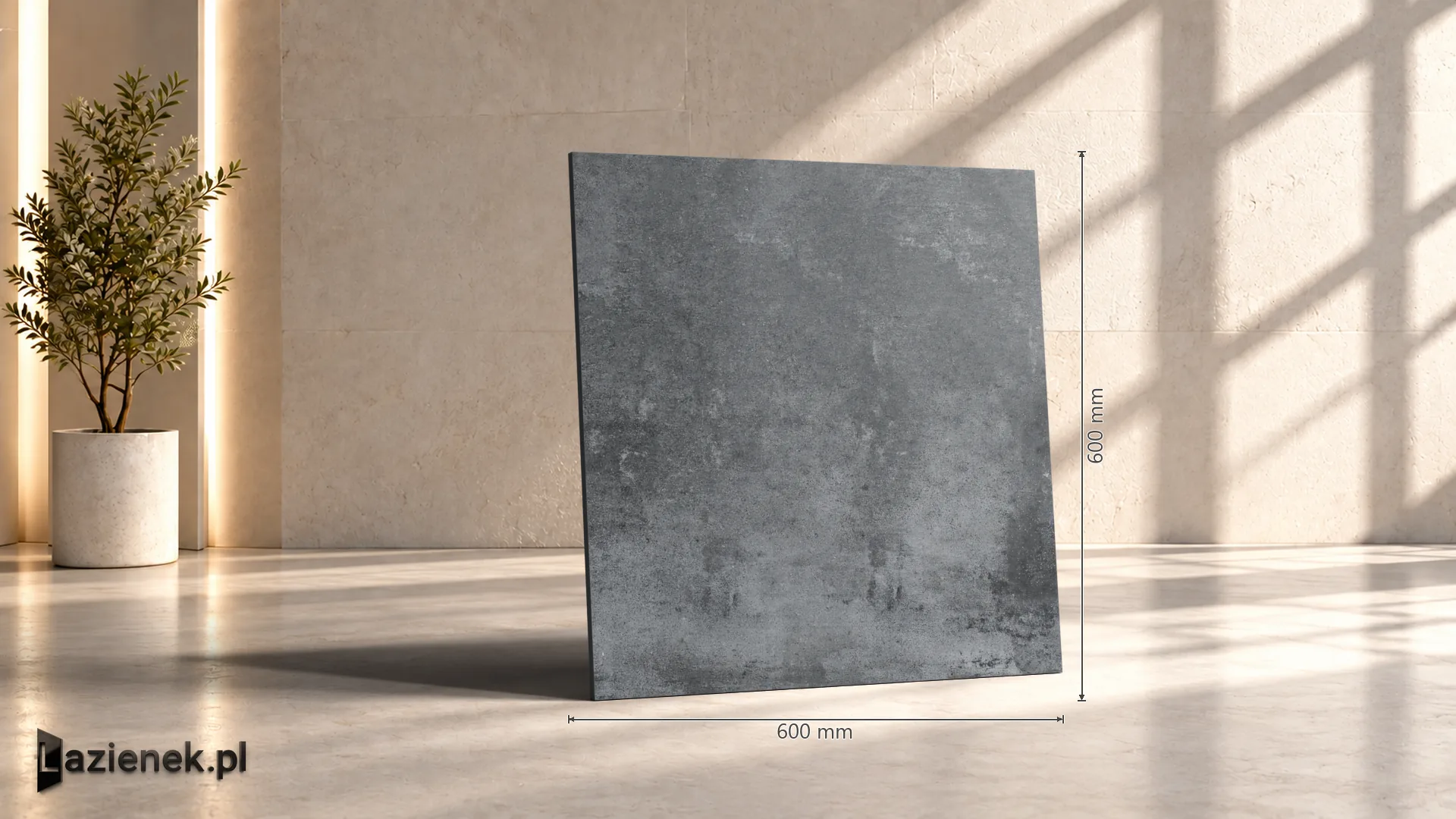 Ragno Clayton Dark Grey C2 matowa r10 60x60 cm gr. 9 mm - płytka rektyfikowana / RAPG
