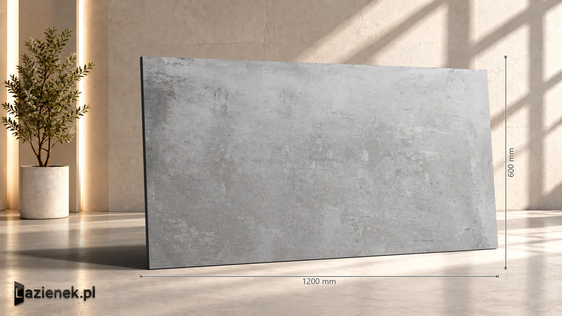 Ragno Clayton Iron C2 matowa r10 60x120 cm gr. 9 mm - płytka rektyfikowana / RAQC