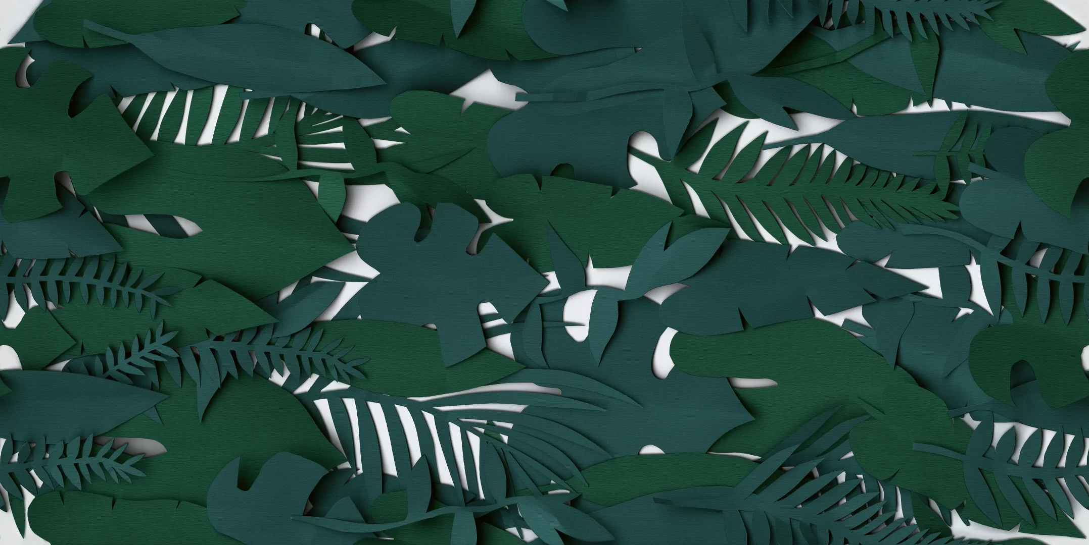 41zero42 Paper41 Pro Midori Naturale 50x100 Rekt.