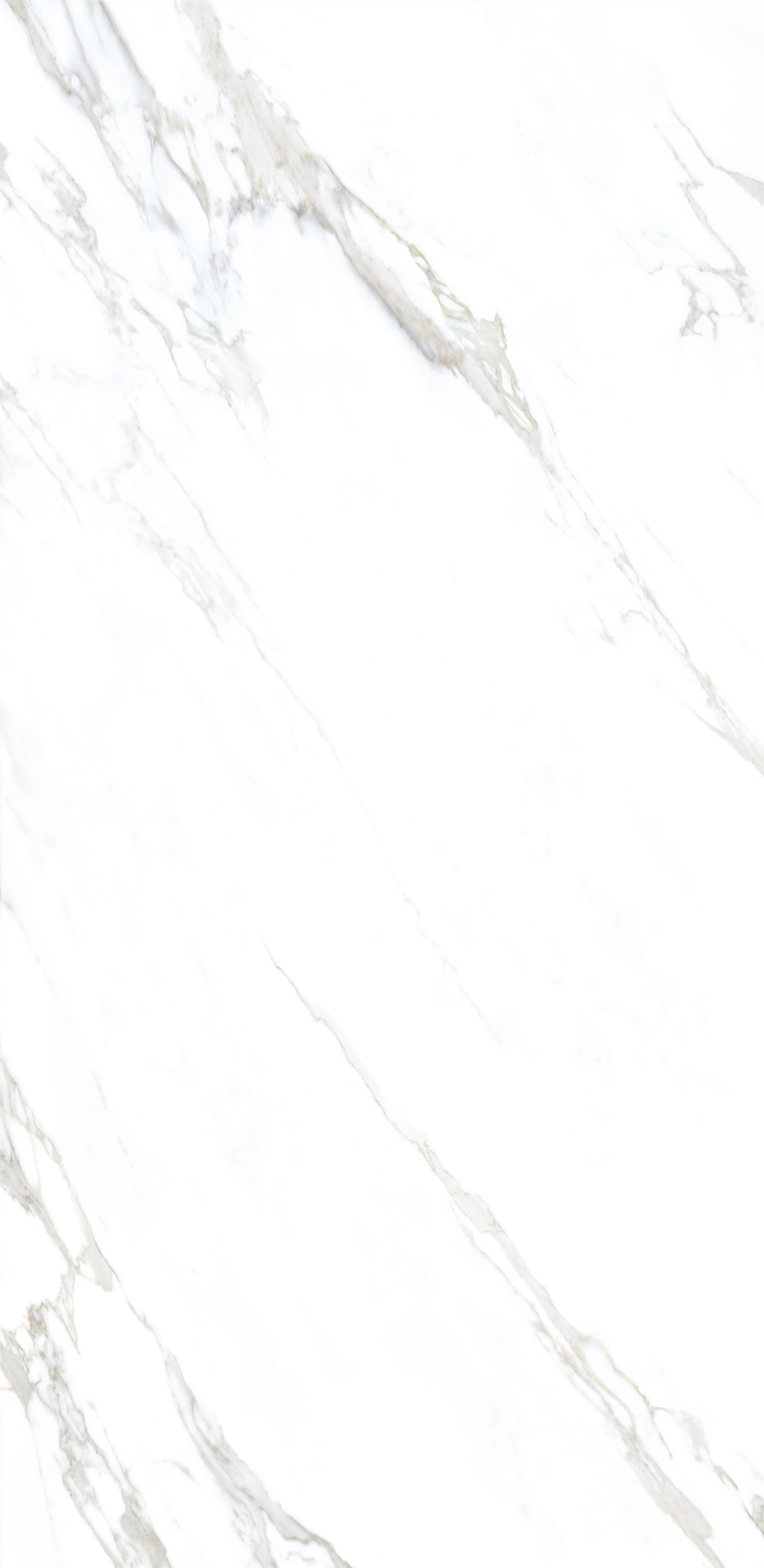 Ava ceramica Marmi Calacatta 320X160 cm