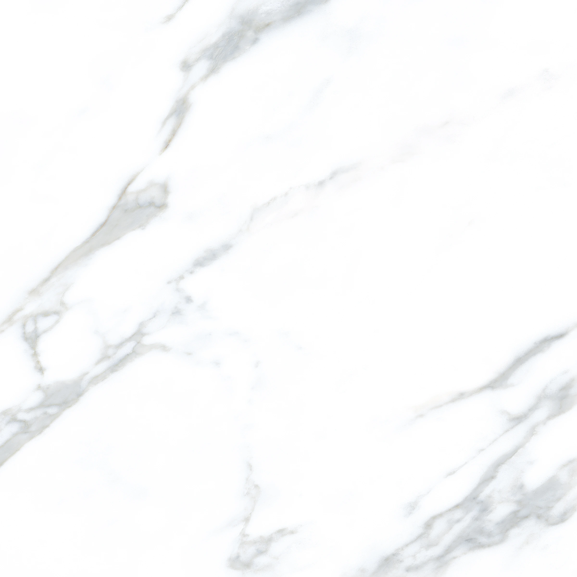 Ava ceramica Marmi Calacatta 60x60 cm