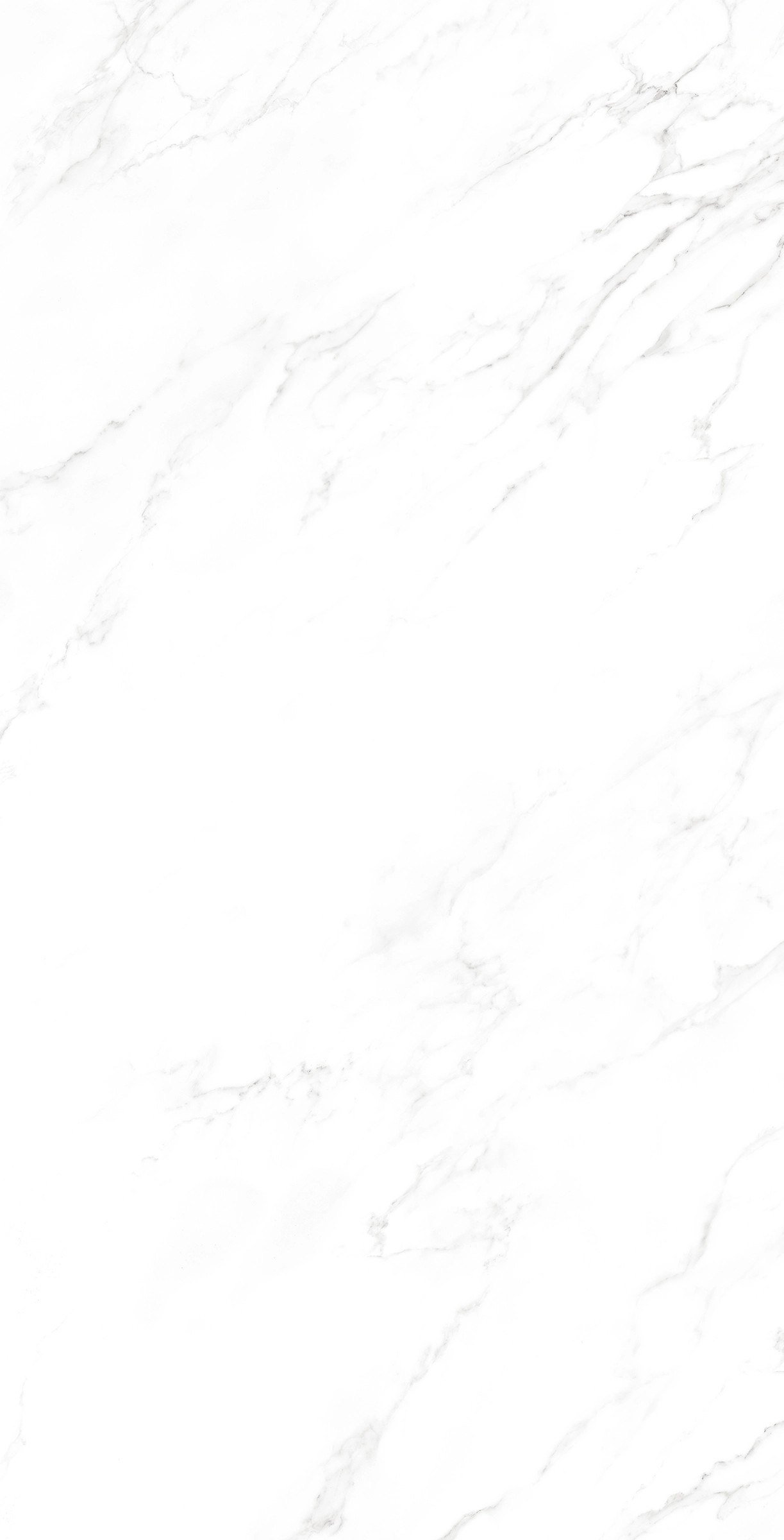 Ava ceramica Marmi Statuario 120x240 cm