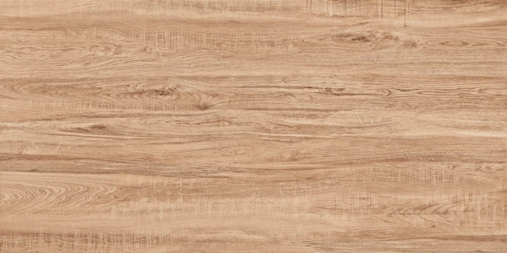 Aparici Camper Savanna Naturale 49.75x99.55 cm 20mm Rekt.