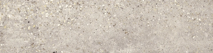 Apavisa Wind Ivory Naturale 25x100 Rekt.