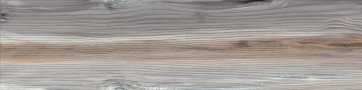 Apavisa Echo Ash Non-Slip 25x100  Rekt.