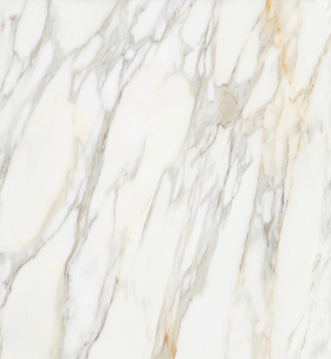 Apavisa Borghini White Polished 120x120  