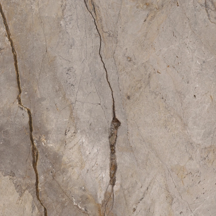 Apavisa Wild Forest Grey Mix Naturale 120x120  