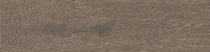 Apavisa Arco Brown Naturale 25x100  Rekt.