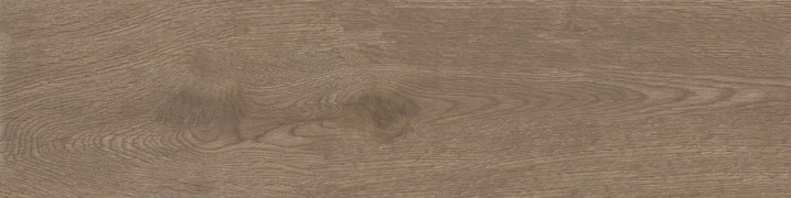Apavisa Arco Maple Naturale 25x100  Rekt.
