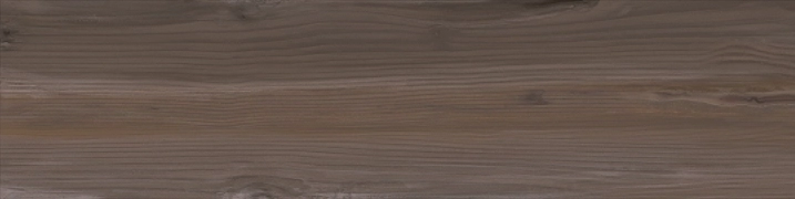 Apavisa Echo Bronw Naturale 25x100  Rekt.