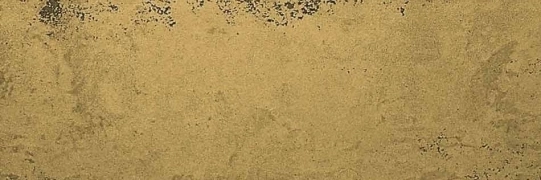 Apavisa Cast Iron Gold Naturale 10x30  