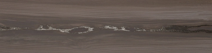 Apavisa Echo Silver Naturale 25x100  Rekt.