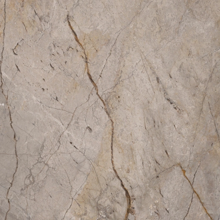Apavisa Wild Forest Grey Mix Polished 120x120  