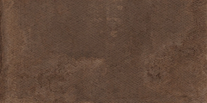 Apavisa Zinc Copper Skin 60x120 Rekt.