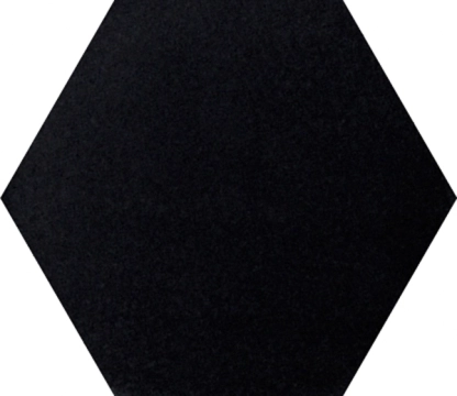 Apavisa Intuition Black Naturale 25x29  