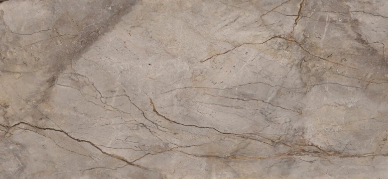 Apavisa Wild Forest Grey Mix Polished 120x260  