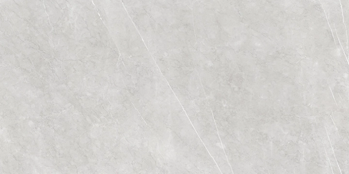 Azuvi Aran Lightgrey Polished 60x120 Rekt.