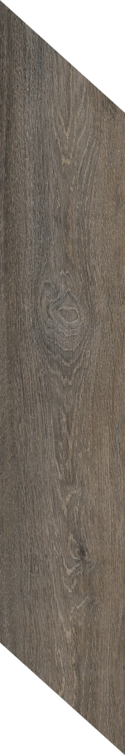 Caesar Meet Eclectic Brown Matt 20x100  
