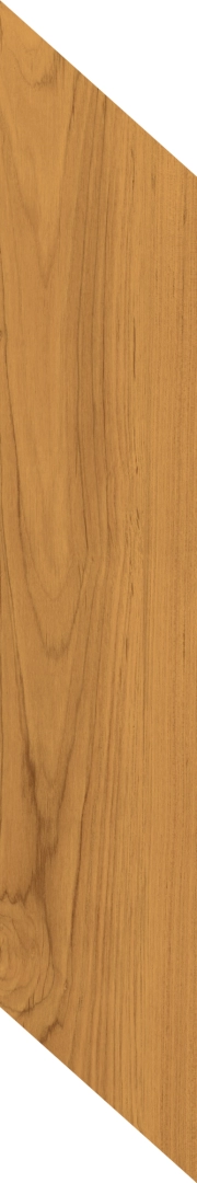 Caesar Fabula Theca Matt 20x100