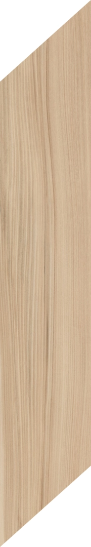 Caesar Fabula Ulmus Matt 20x100  