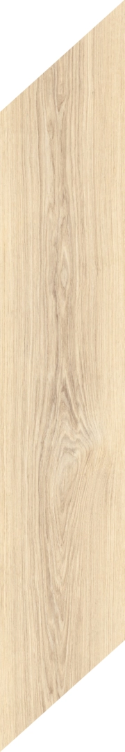 Caesar Fabula Robur Matt 20x100