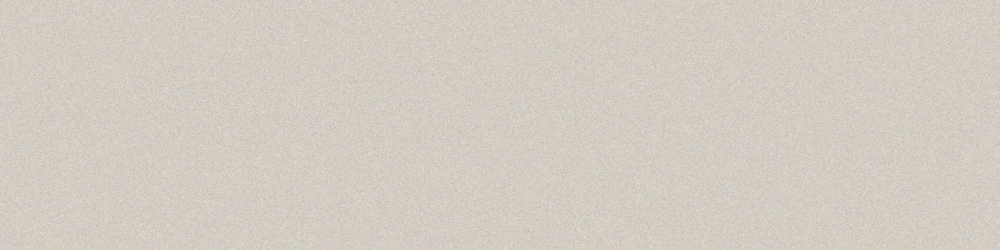 Casalgrande Padana Architecture Warm Grey Naturale 15x60  Rekt.