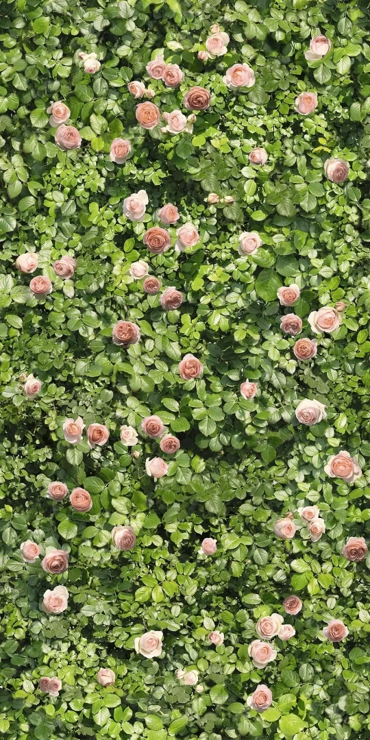 Casalgrande Padana Limpha Coral Rose Naturale 120x240  Rekt.