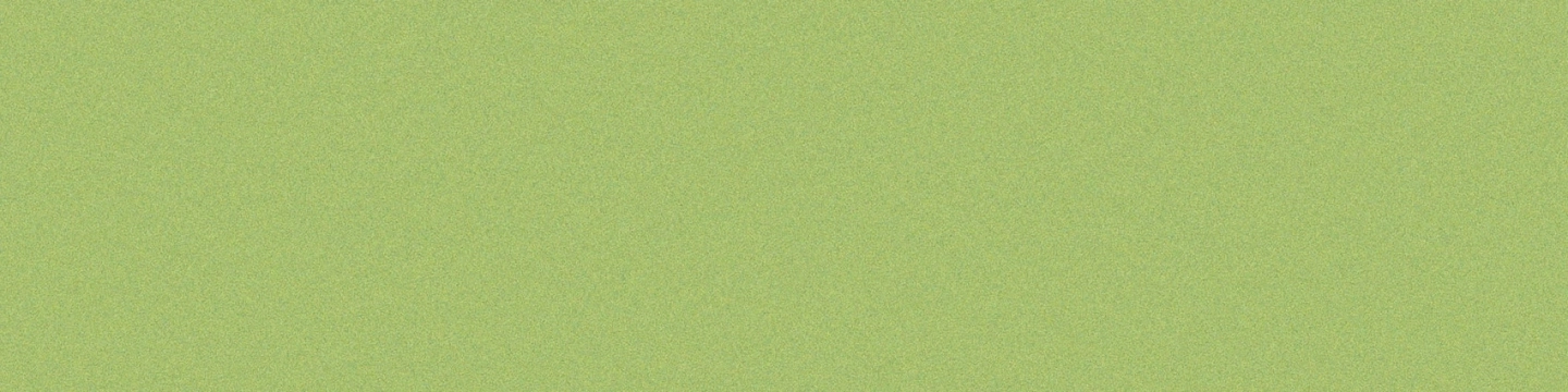 Casalgrande Padana Architecture Acid Green Naturale 15x60 Rekt.