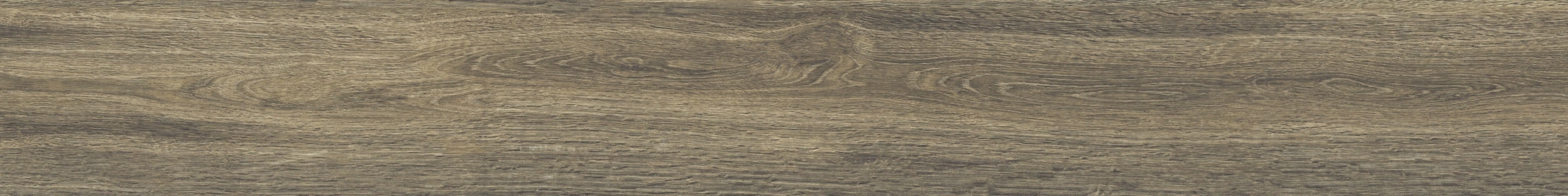 Casalgrande Padana Planks Muschio Naturale 30x240  Rekt.