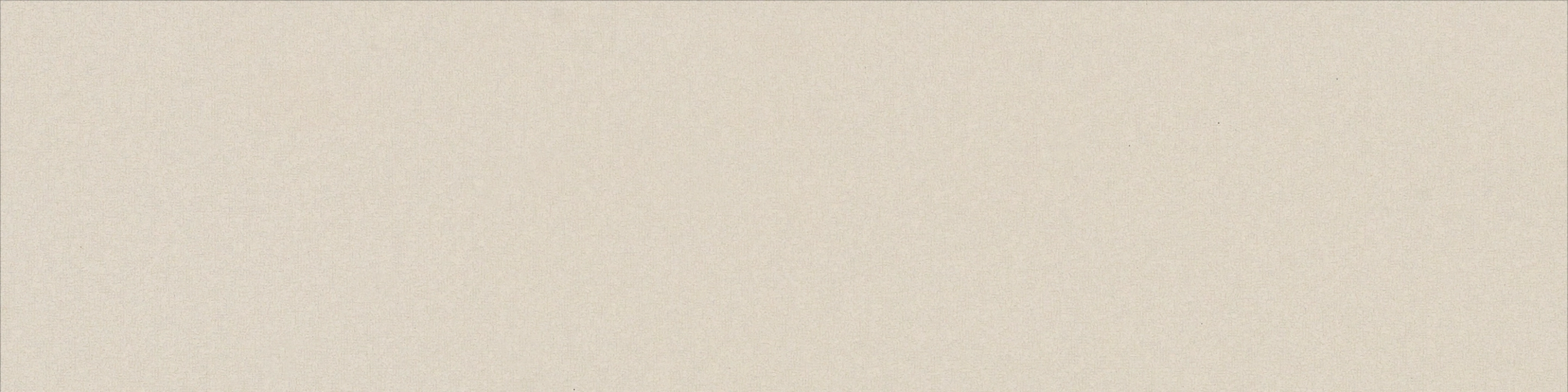 Casalgrande Padana Earth By Pininfarina Bianco Naturale 30x120  Rekt.